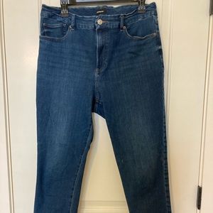 Express L Flexx Skinny Jeans